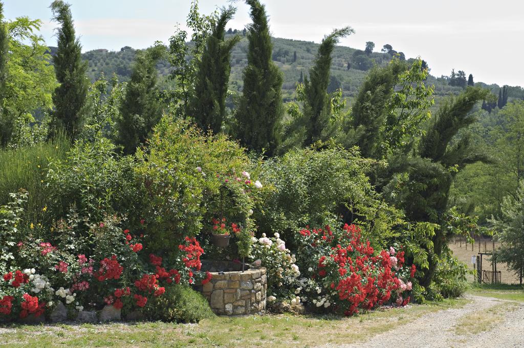 La Buca Di Montauto Otel San Gimignano Dış mekan fotoğraf